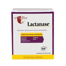 Abbildung: Lactanase®